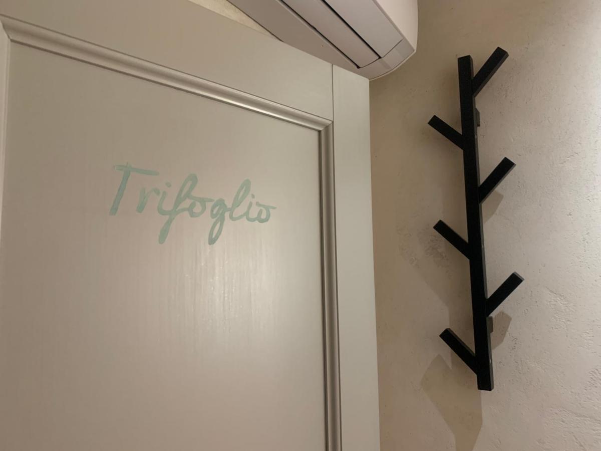 Camera Tripla Standard